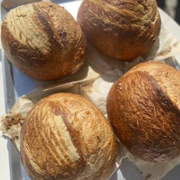 Tony Peroni Sourdough first overview