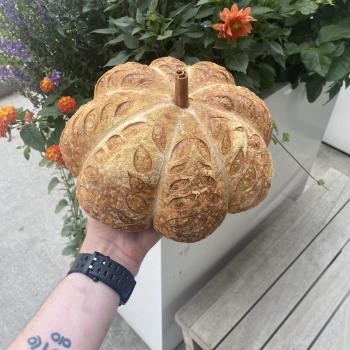 Tony Peroni Sourdough second overview