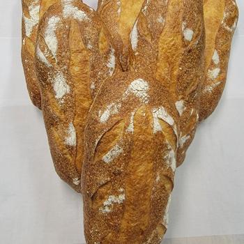 Tranquility Acres Levain Levain first overview