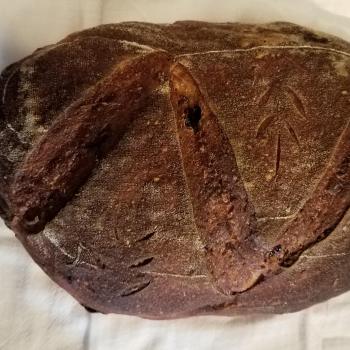 Vincent van Dough Butternut Squash and Cherry Bread first overview