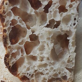 WeirDough Bread, pastry, cookies, cakes, waffles...everything second slice