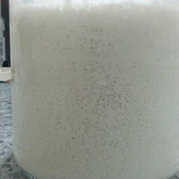 Adam recipe