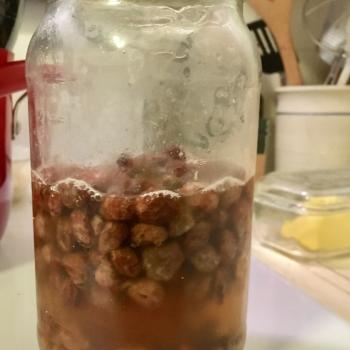 Adam recipe