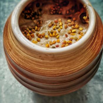 Apis - bee sourdough jar shot