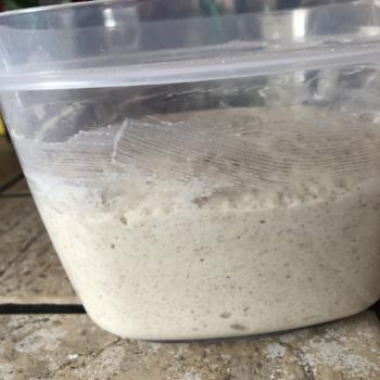 Aunt Jo’s  Dough top shot