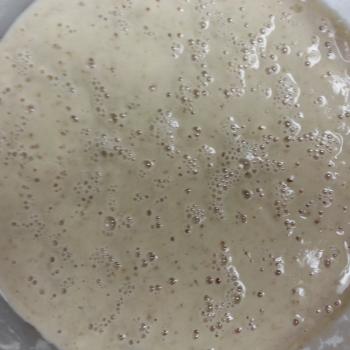 Basic Sourdough jar shot
