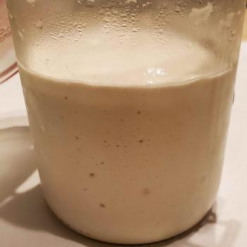 Berta recipe