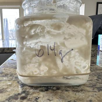 Betty recipe