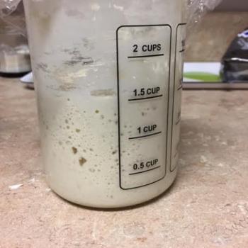 Bob recipe