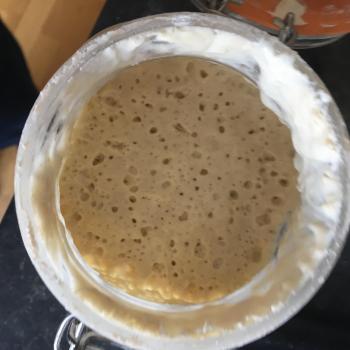 Bolla jar shot