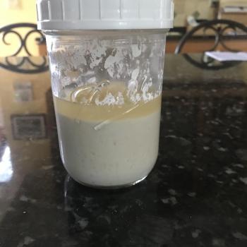 Boone starter recipe
