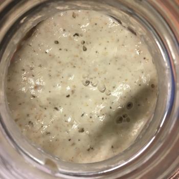 Brownie jar shot