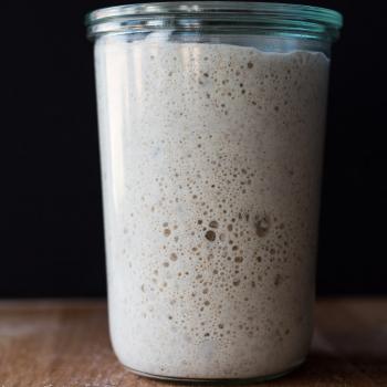 Brutus recipe