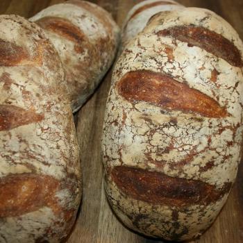 Bundaberg Sourdough jar shot