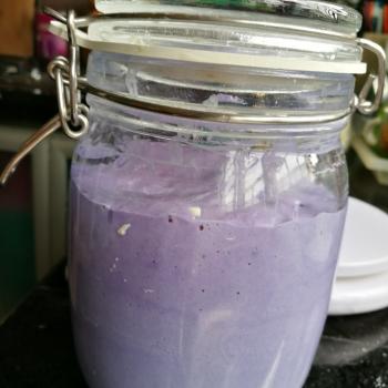 Butterfly Pea  recipe