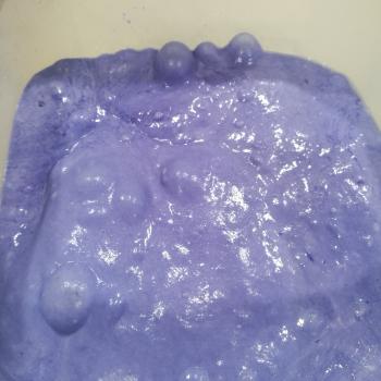 Butterfly Pea  front shot