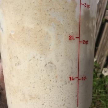 Camelot recipe