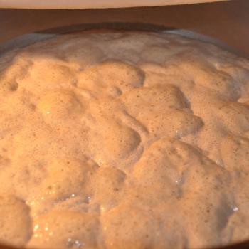 Canoe Creek Sourdough jar shot