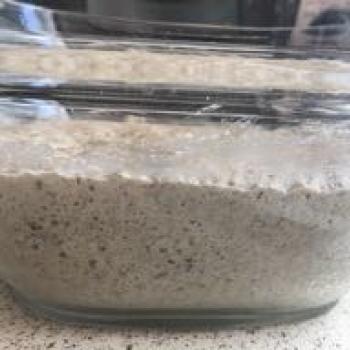 CatcherInTheRye recipe