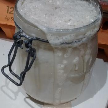 Catherine's Recovery Starter recipe