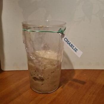 CHARLIE recipe