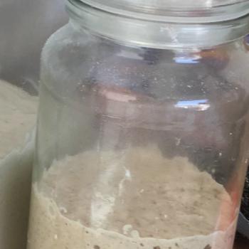 Cora recipe
