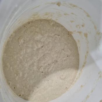 CORINASA 101 recipe