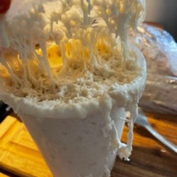 Dough Biden recipe