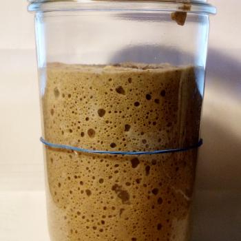 Dries recipe