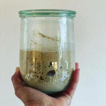 Einkorn starter recipe