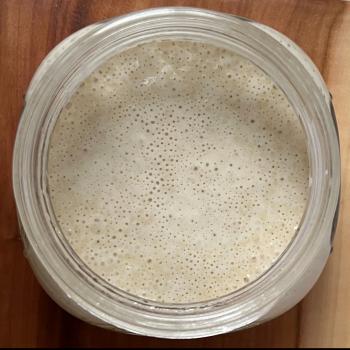 Elderflower  Sourdough jar shot