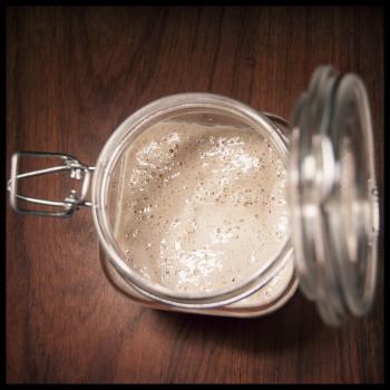 Elmer Fud recipe