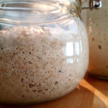 Erkki recipe