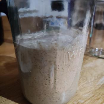 Ermapatokipa recipe