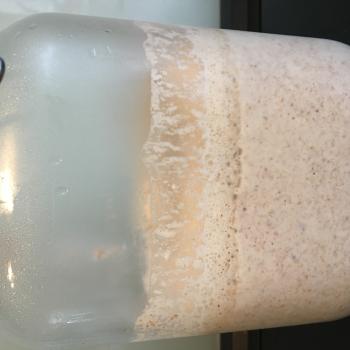 Evelien recipe