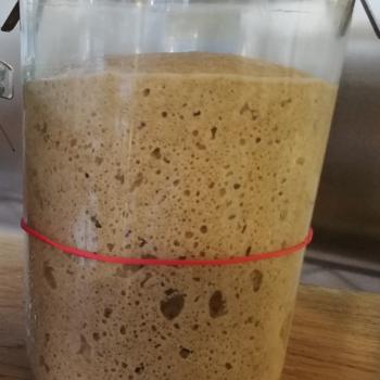 Evelin Sourdough recipe