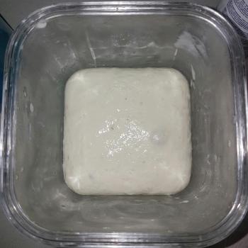 Felicia jar shot