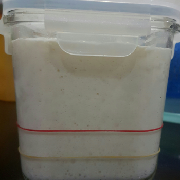 Felicia recipe