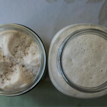 Fermento PP recipe