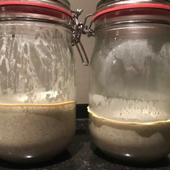 FREDDARR recipe