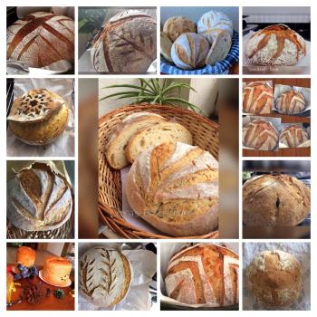 Genesis  recipe