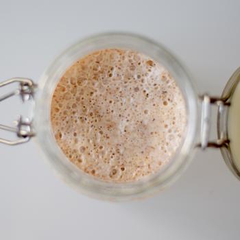 gingeryeast jar shot