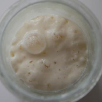 Globbie jar shot