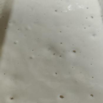 Gotlu Potlu front shot