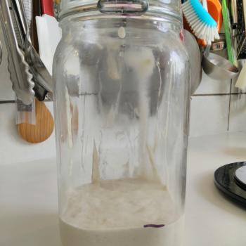 greek yogurt  top shot