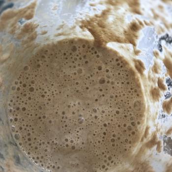 Herman recipe