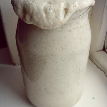 Homer jar shot