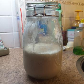Honey Bunny recipe