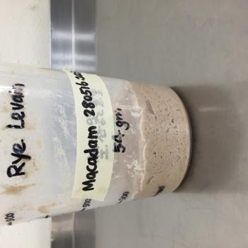 Kelvin Lim recipe