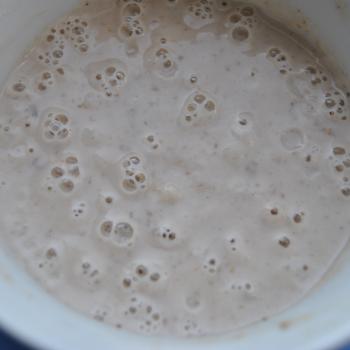 Kvások jar shot